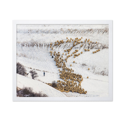 Sheep Crossing Snow Valley