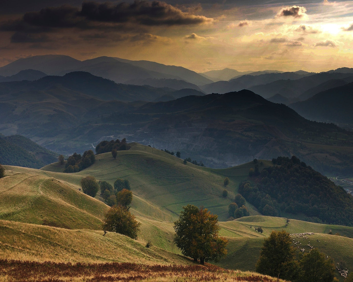 Golden Mountain Hills