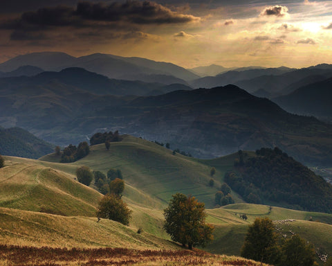 Golden Mountain Hills