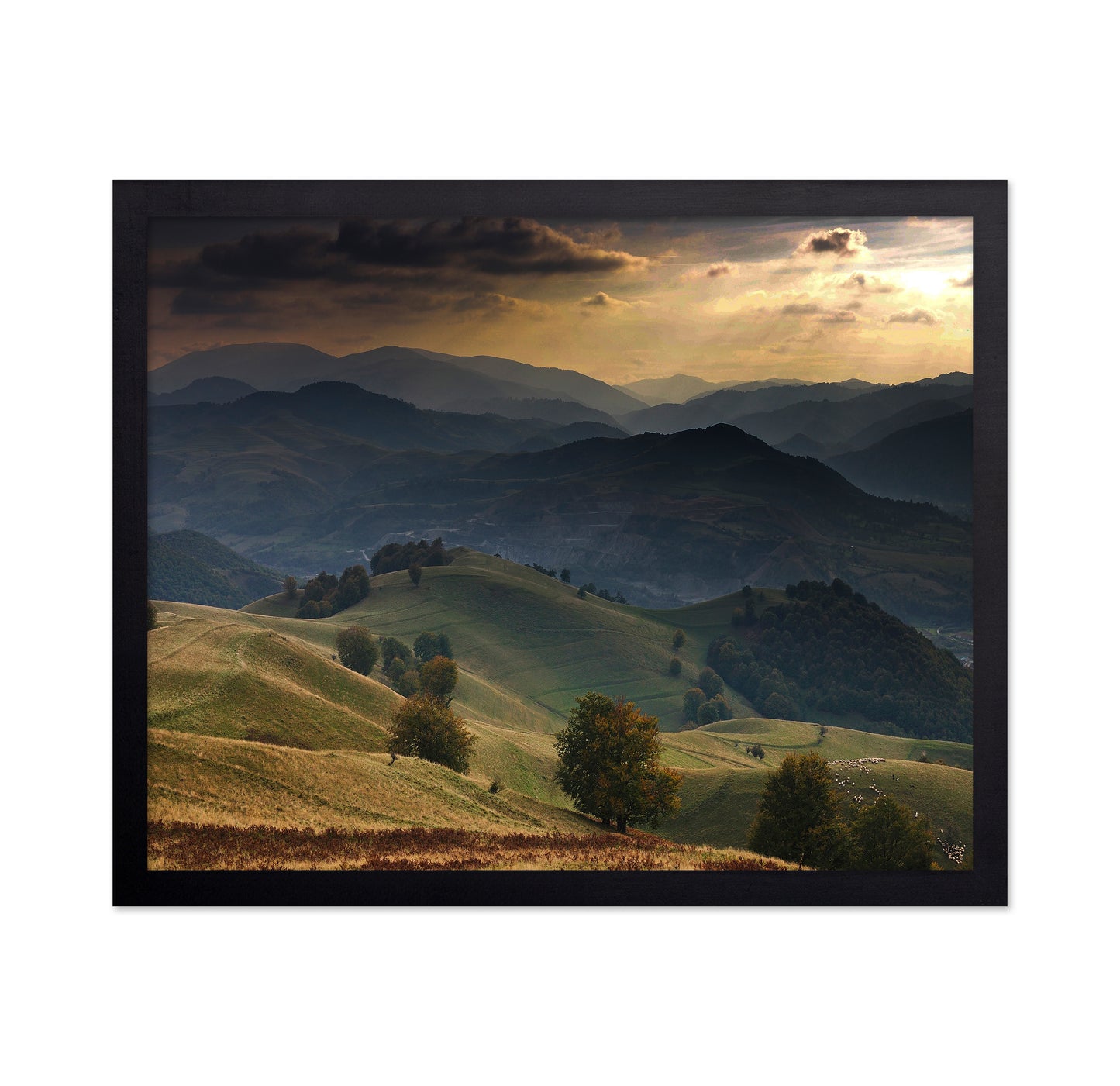 Golden Mountain Hills