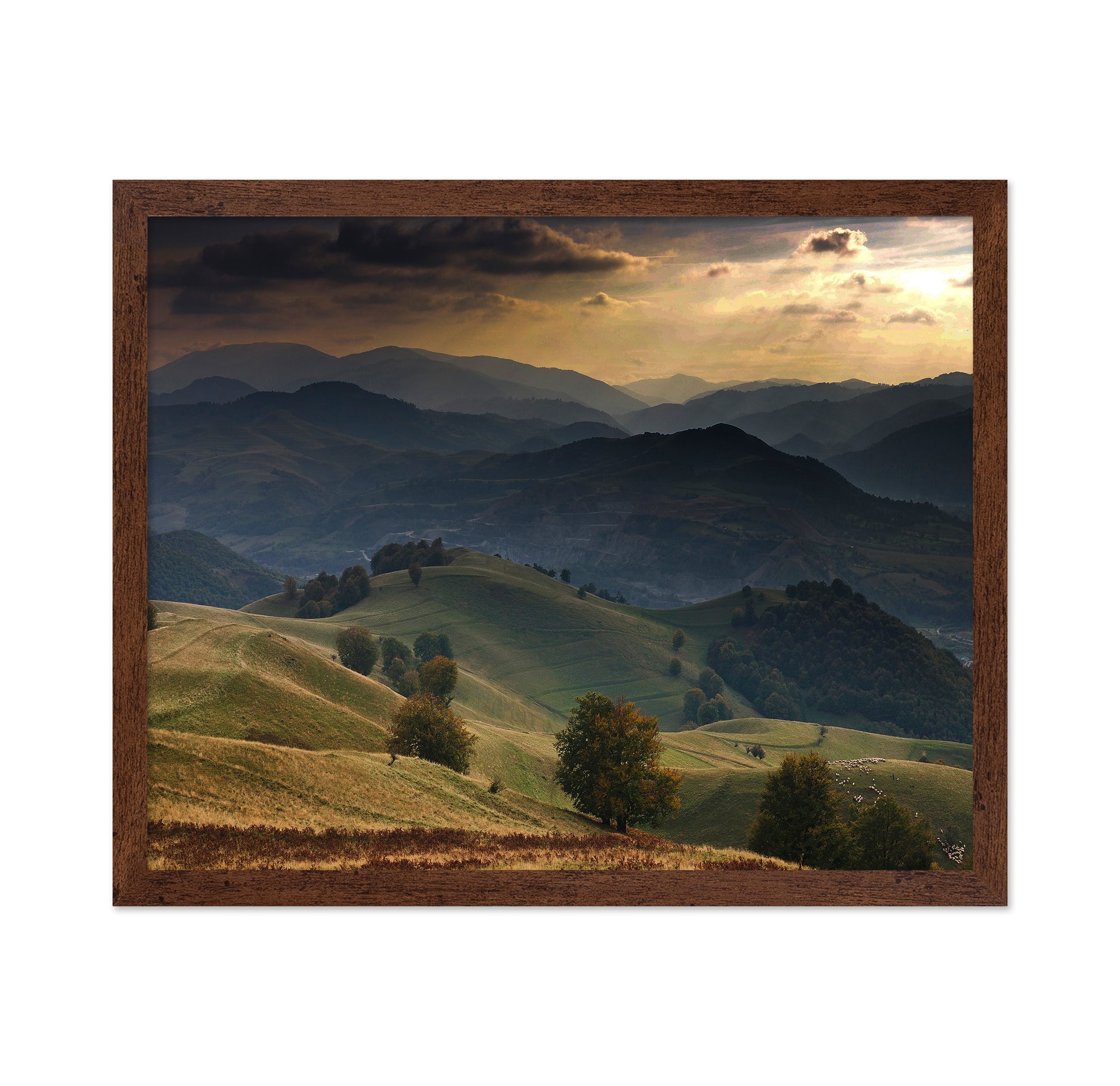 Golden Mountain Hills