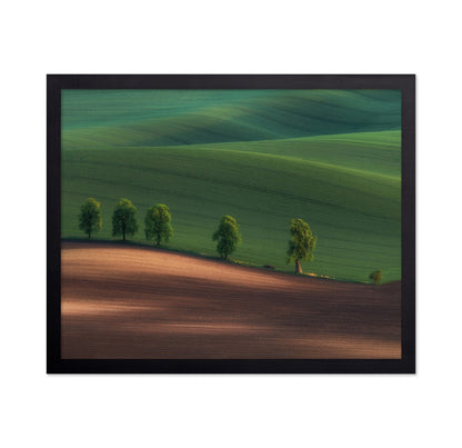 Green Hills Tree Line