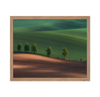 Green Hills Tree Line