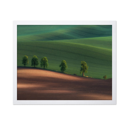 Green Hills Tree Line