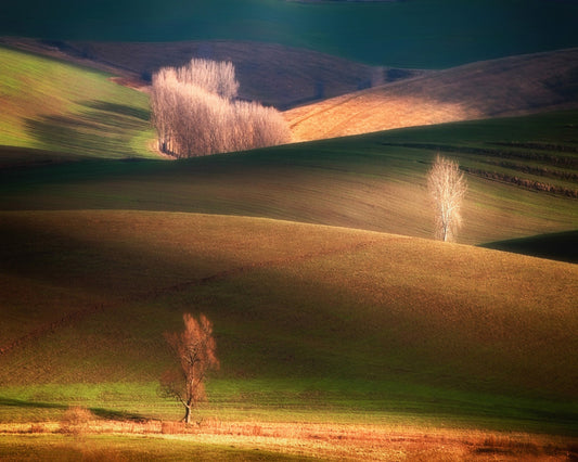 Sunlit Rolling Hills
