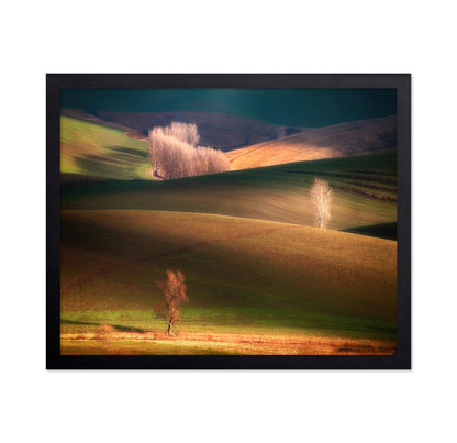 Sunlit Rolling Hills