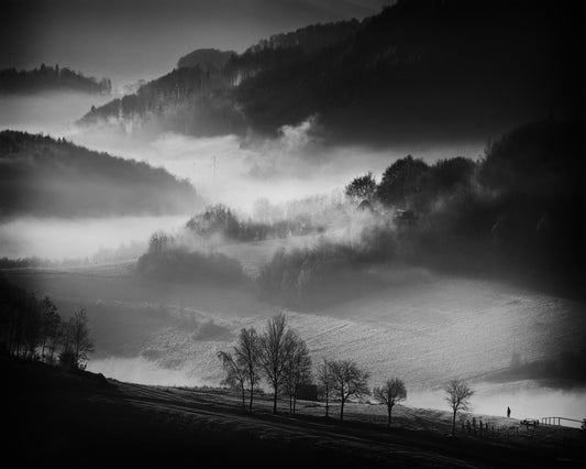 Misty Valley Walk