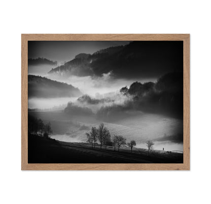 Misty Valley Walk