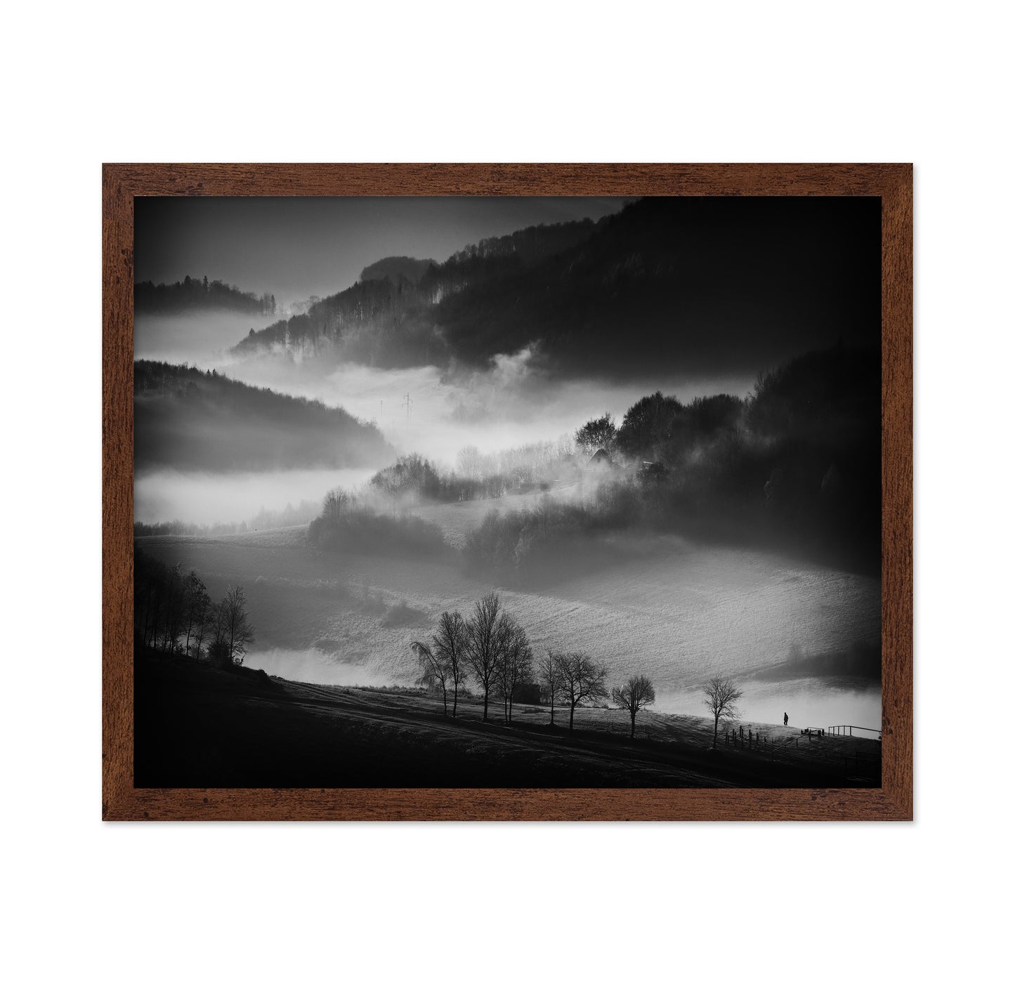 Misty Valley Walk