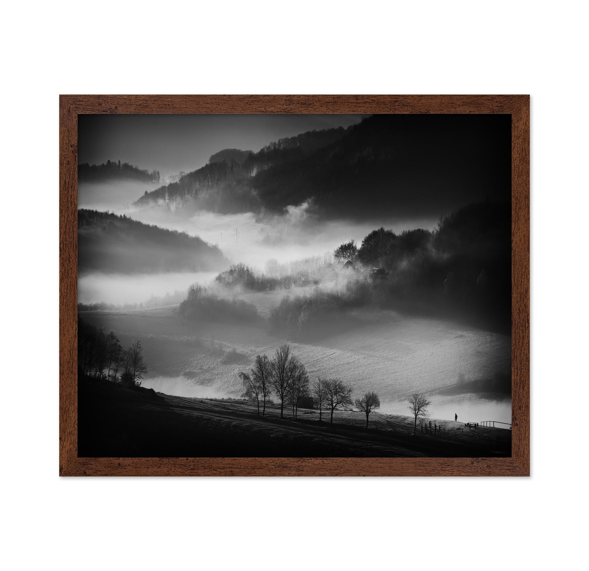 Misty Valley Walk