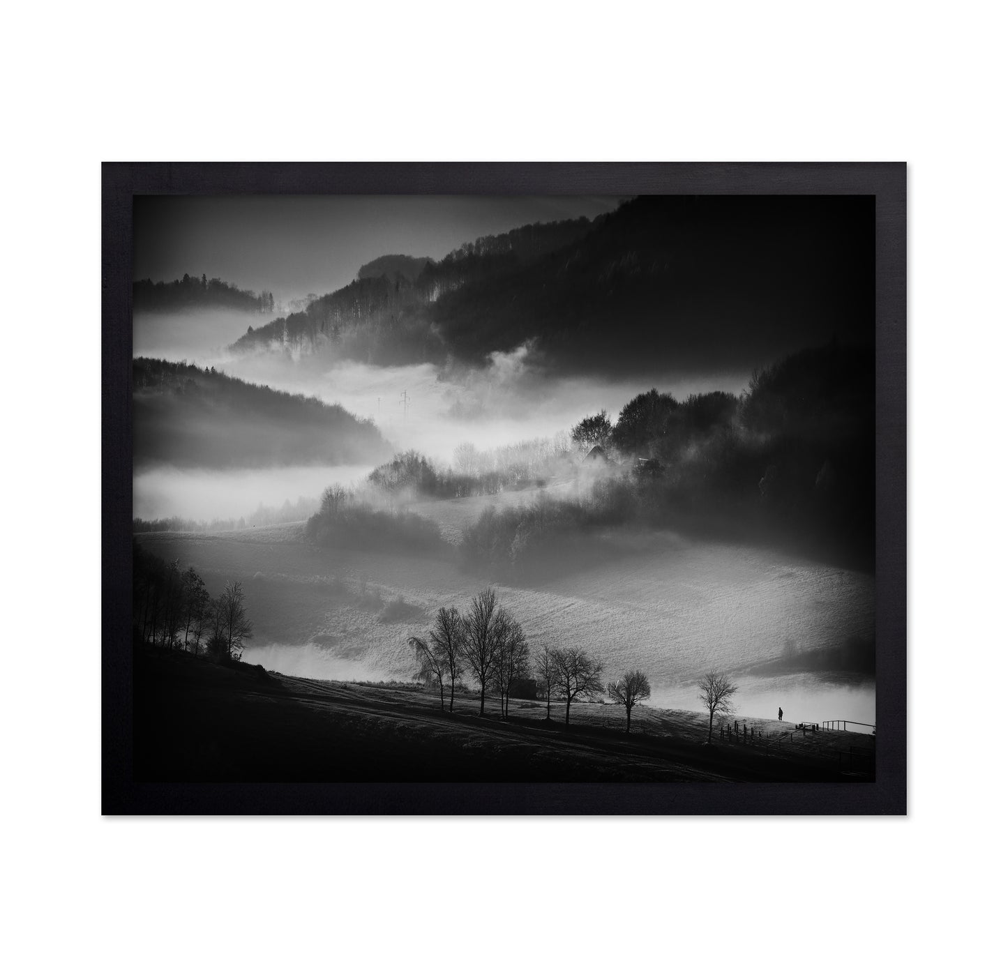 Misty Valley Walk