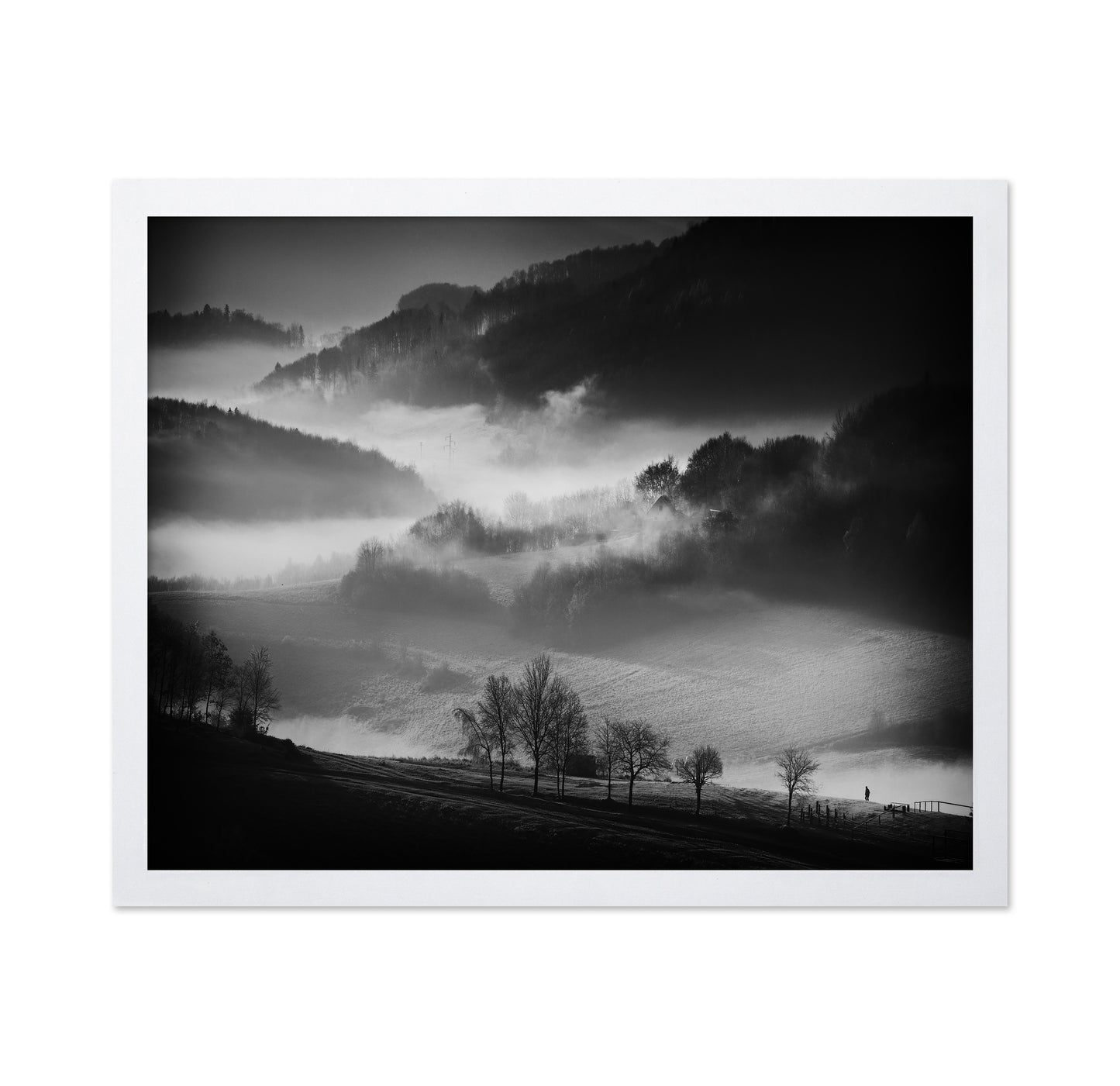 Misty Valley Walk