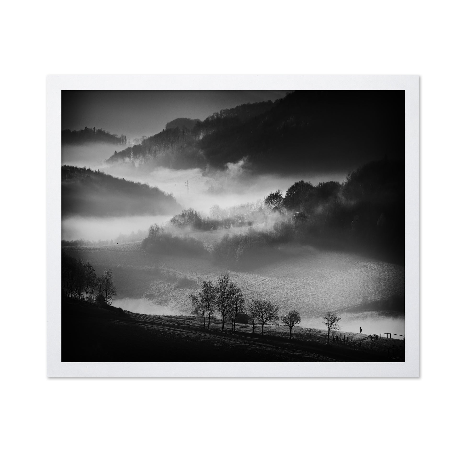 Misty Valley Walk