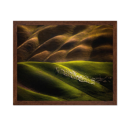 Flock Across Green Hills