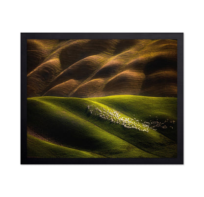 Flock Across Green Hills