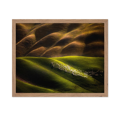Flock Across Green Hills