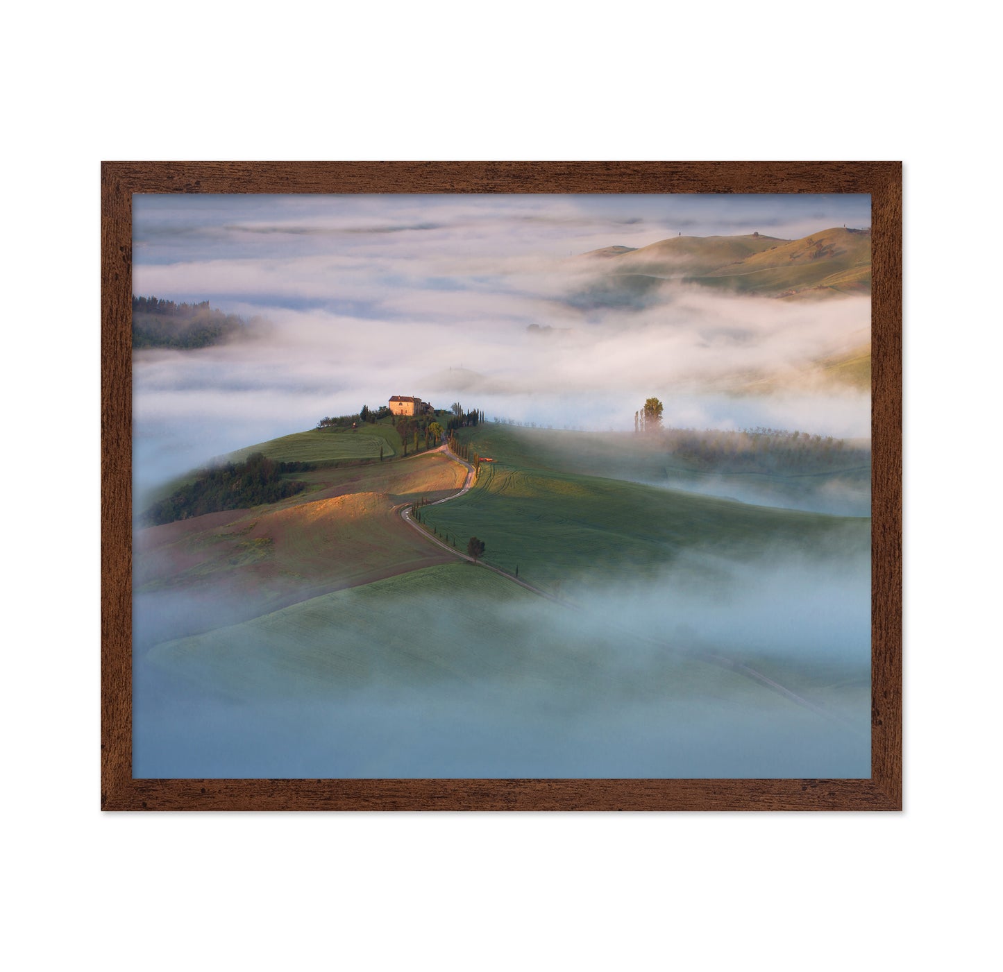 Misty Hillside House