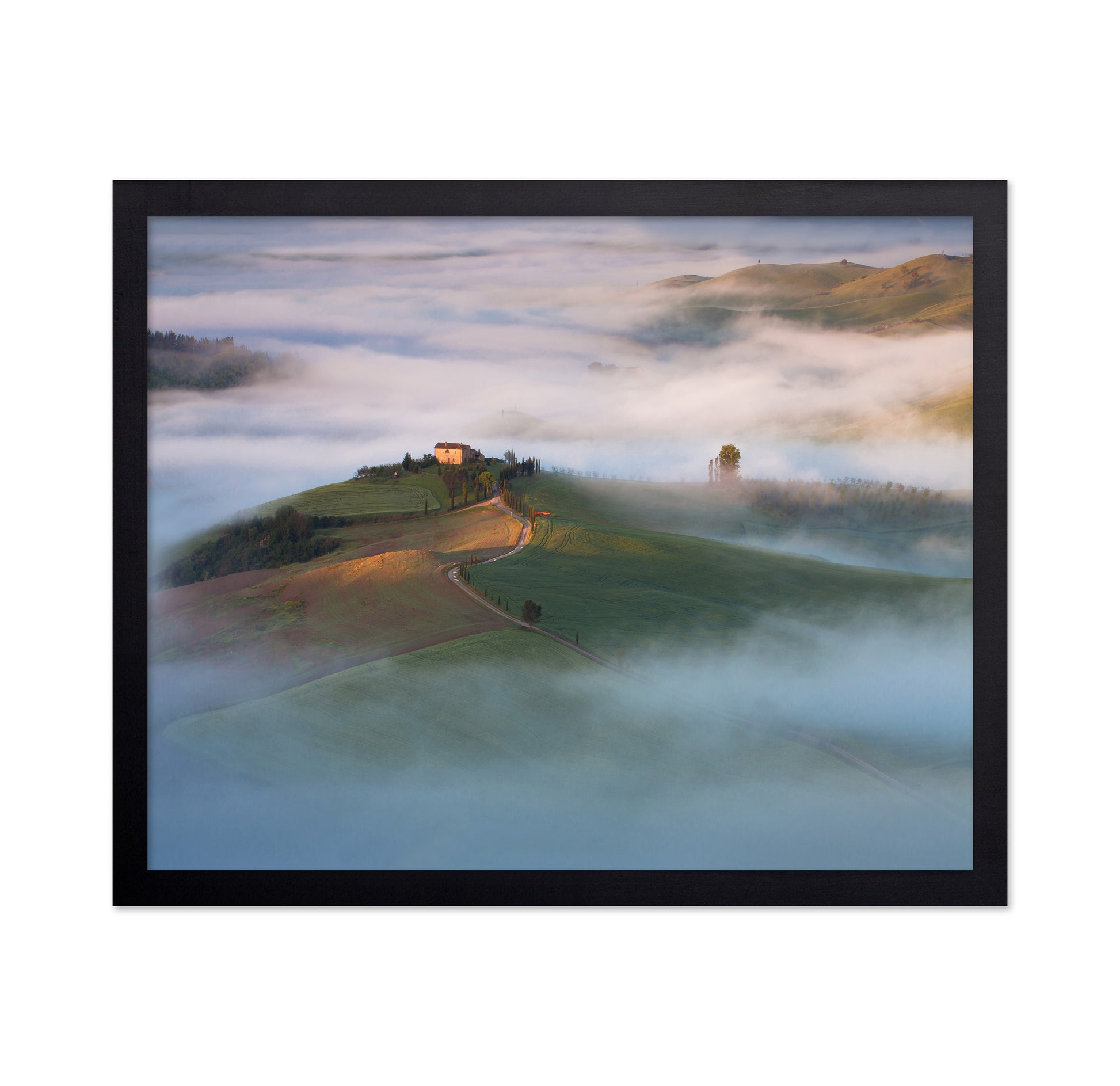 Misty Hillside House