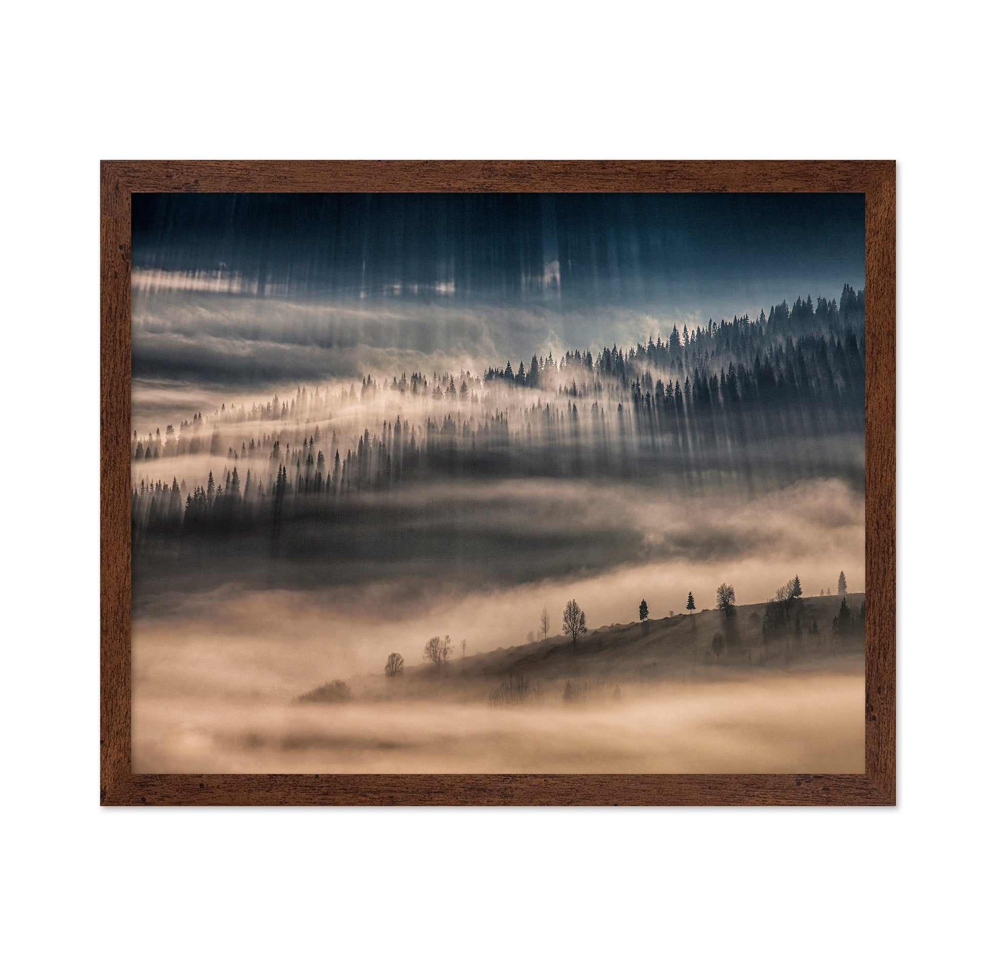 Misty Forest Light Rays
