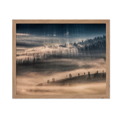 Misty Forest Light Rays