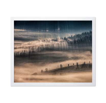 Misty Forest Light Rays