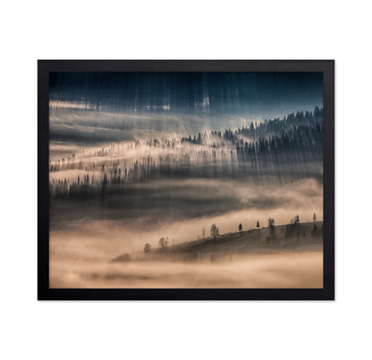 Misty Forest Light Rays
