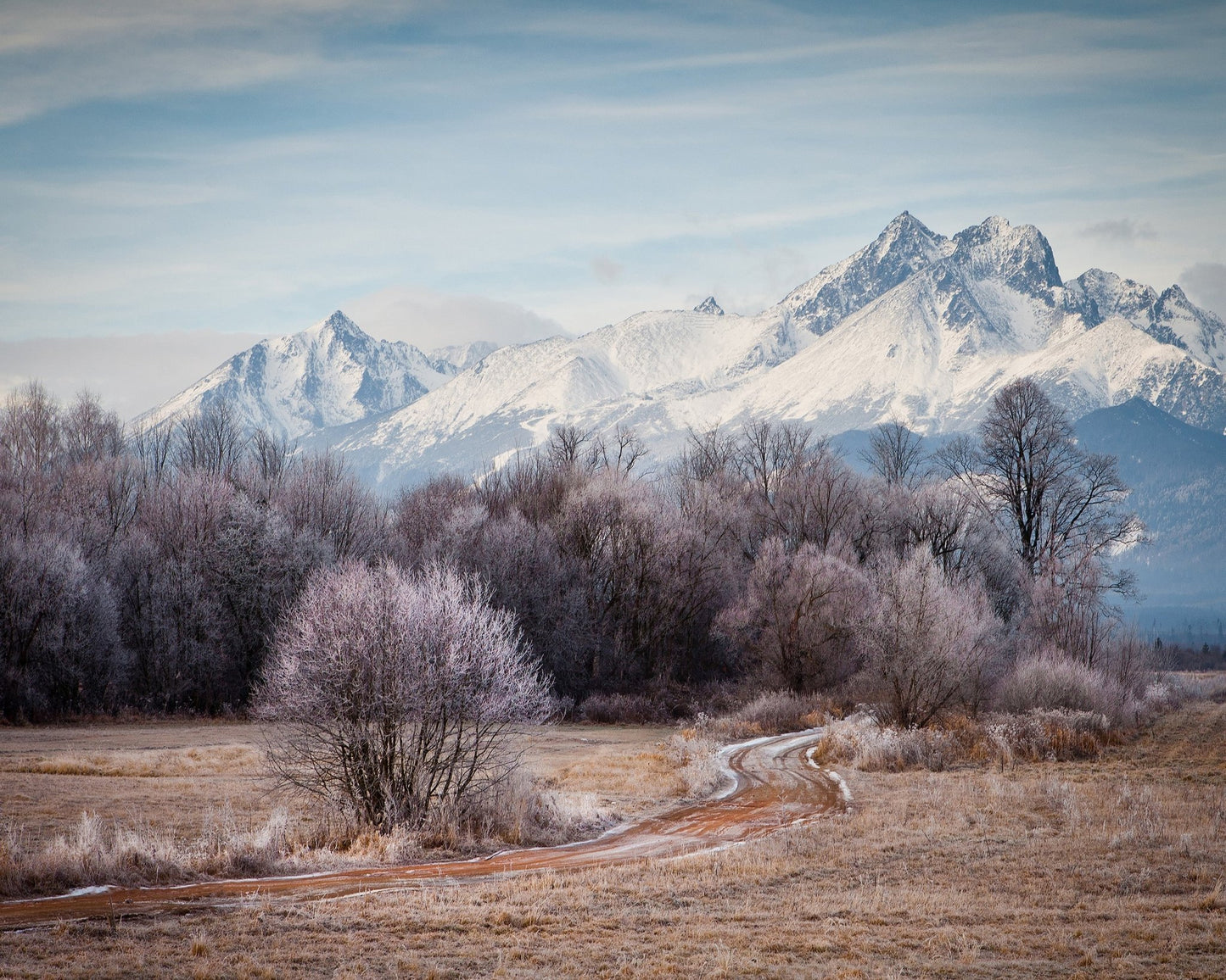 Frosty Path to Snowy Peaks