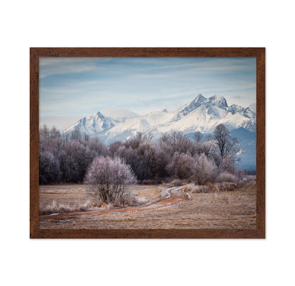 Frosty Path to Snowy Peaks