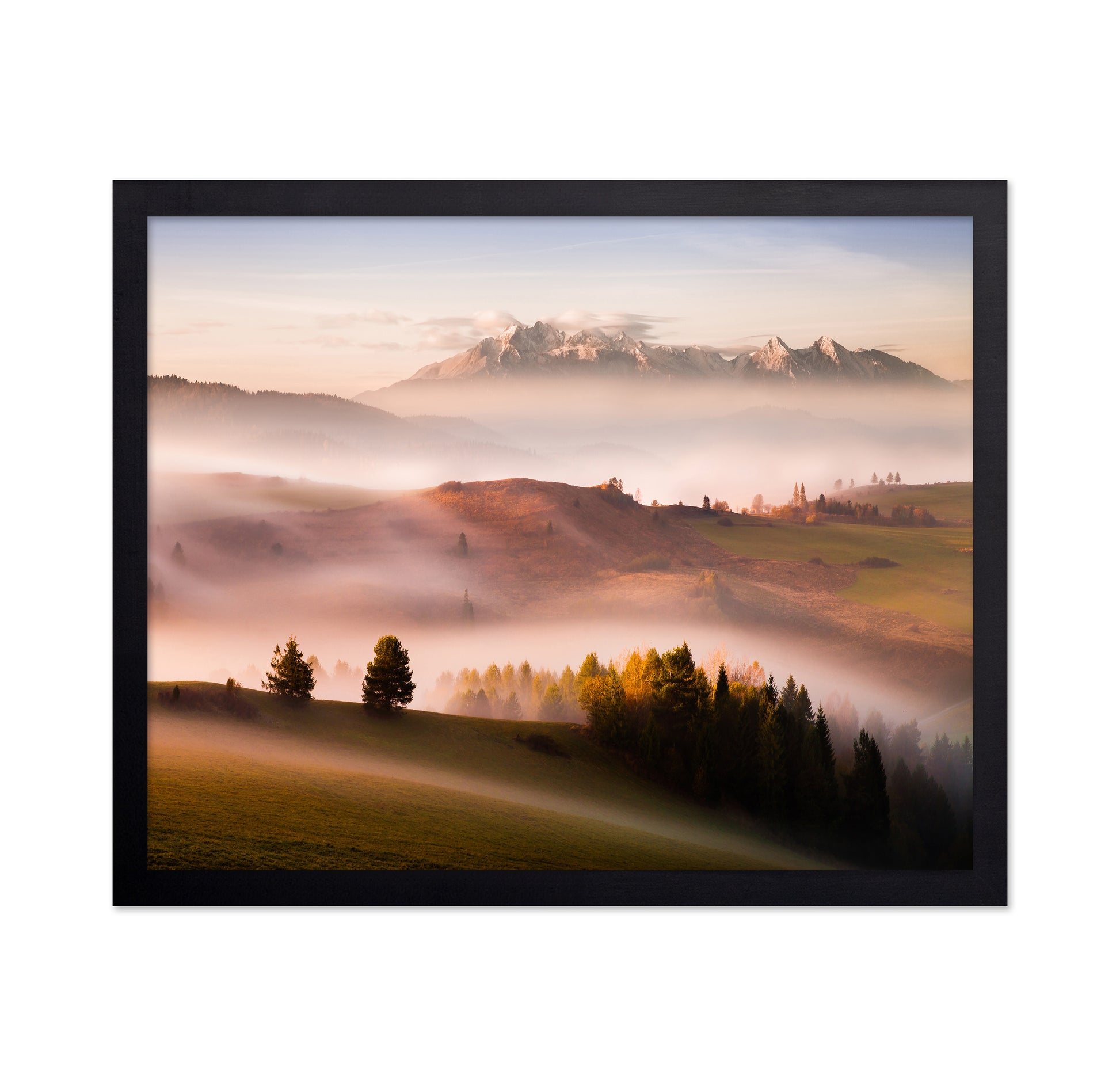 Silent Misty Mountain Valley