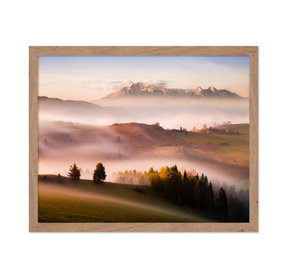 Silent Misty Mountain Valley