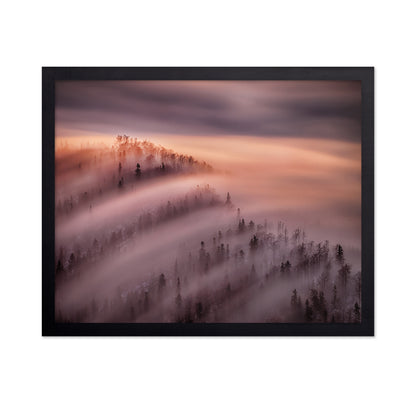 Fog Waves Over Forest Hills
