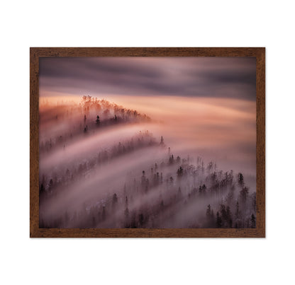 Fog Waves Over Forest Hills