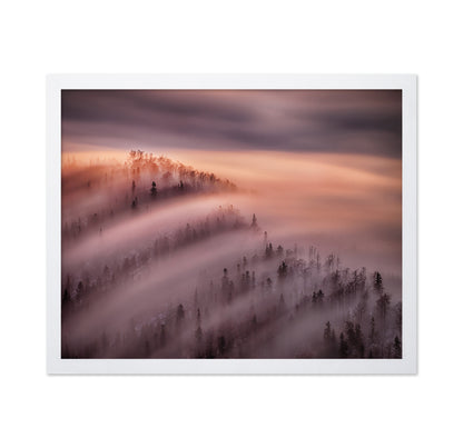Fog Waves Over Forest Hills