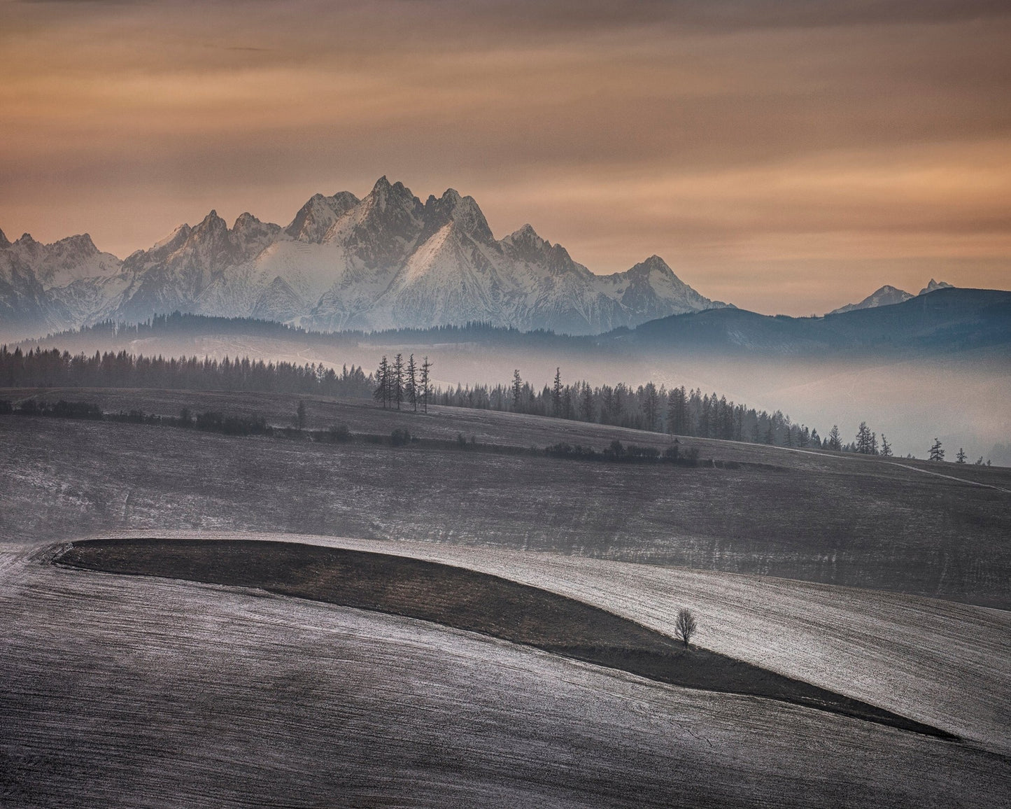 Frosted Fields Beneath Winter Peaks