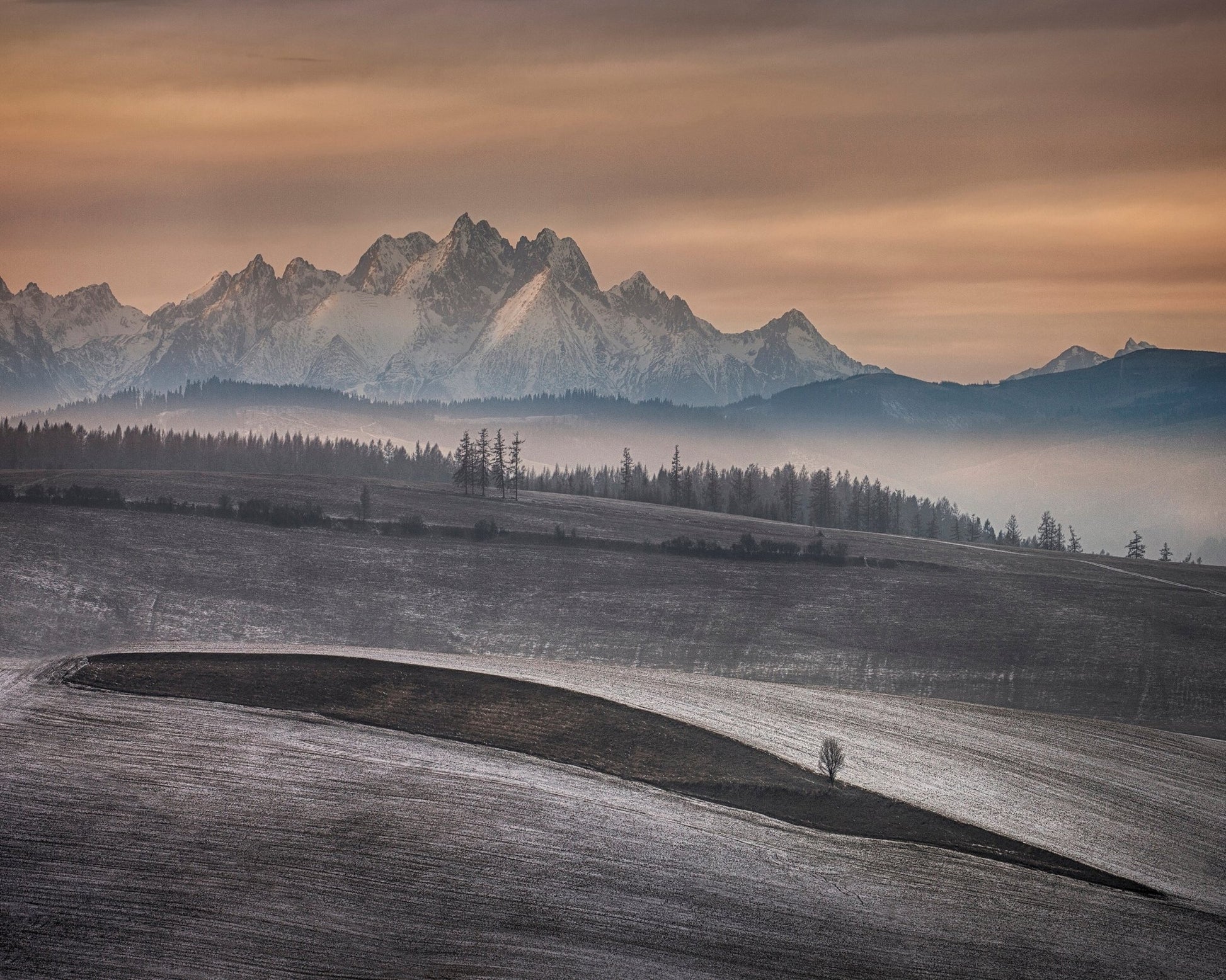 Frosted Fields Beneath Winter Peaks