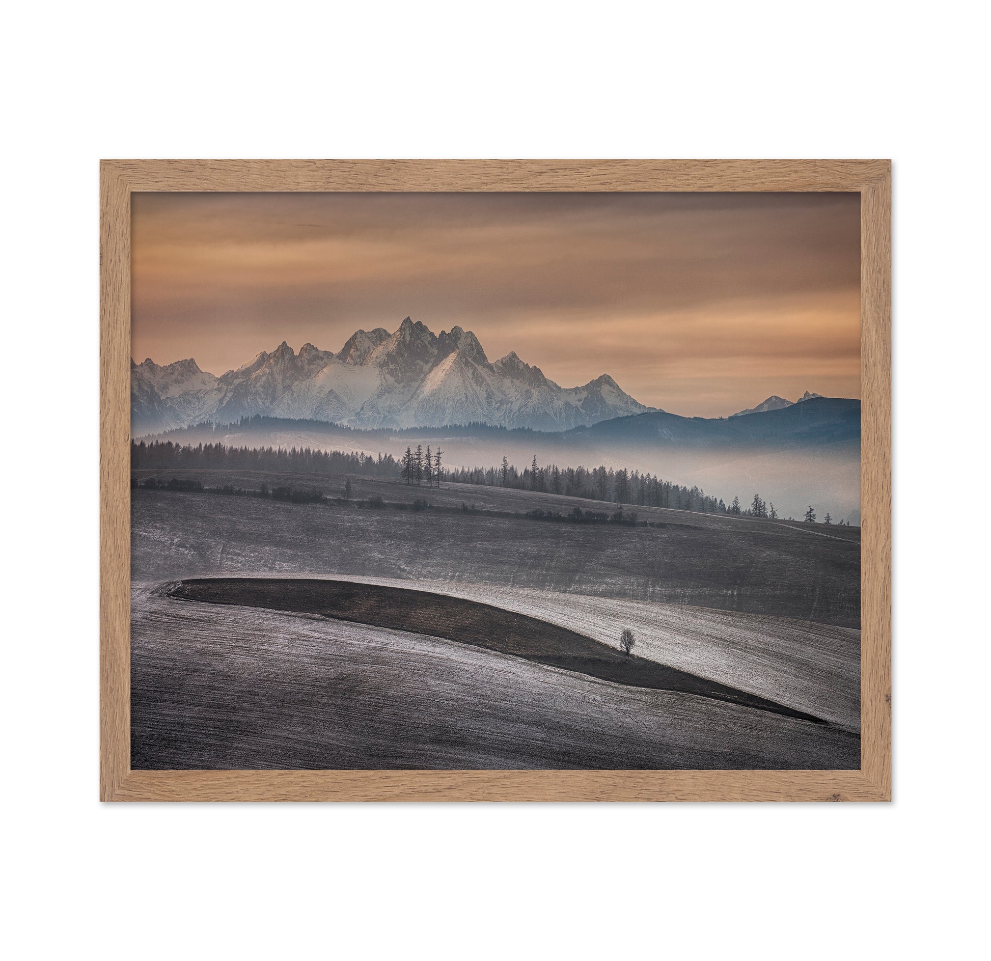 Frosted Fields Beneath Winter Peaks