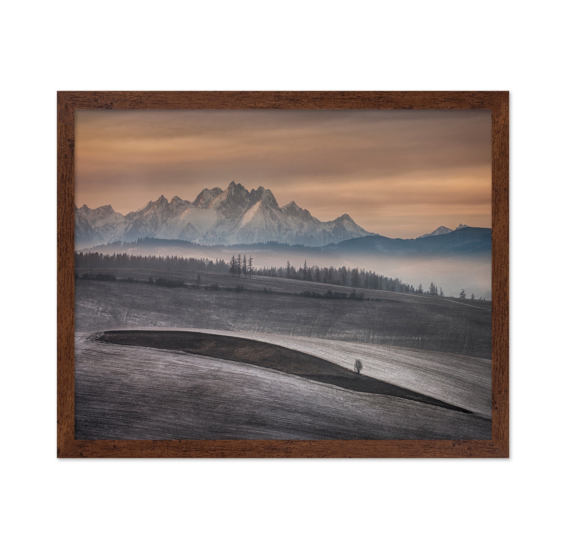 Frosted Fields Beneath Winter Peaks