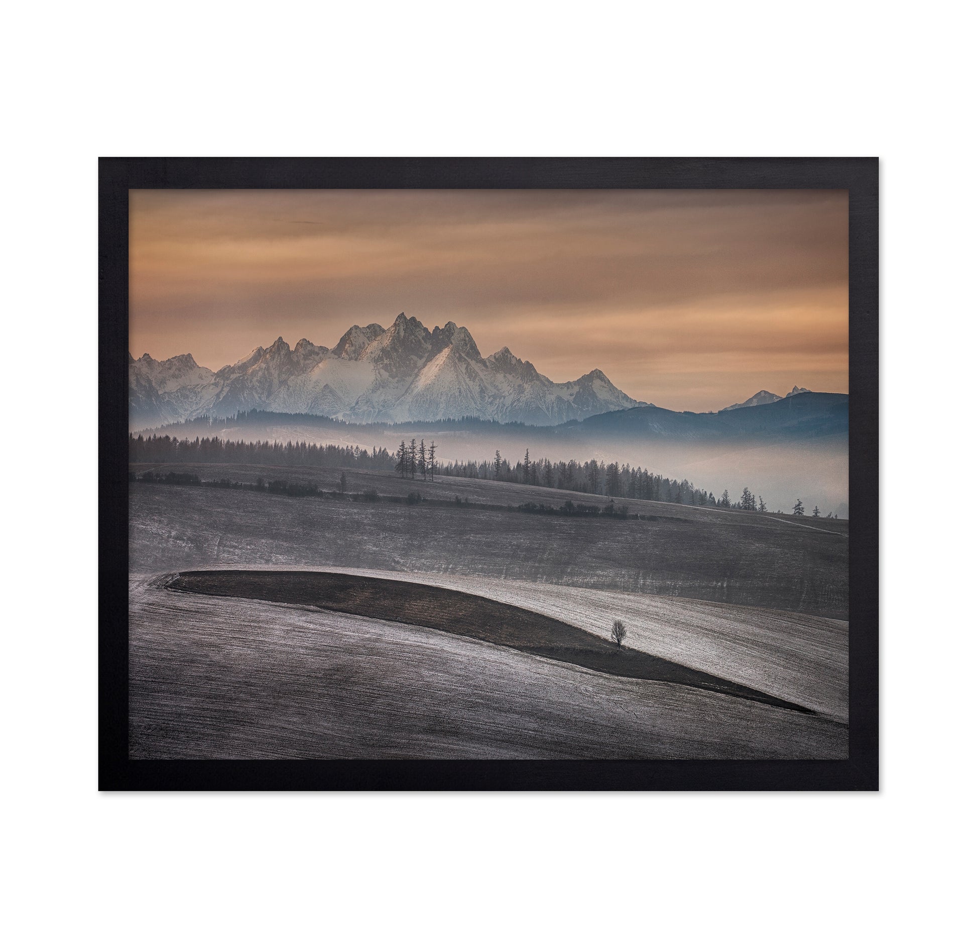 Frosted Fields Beneath Winter Peaks