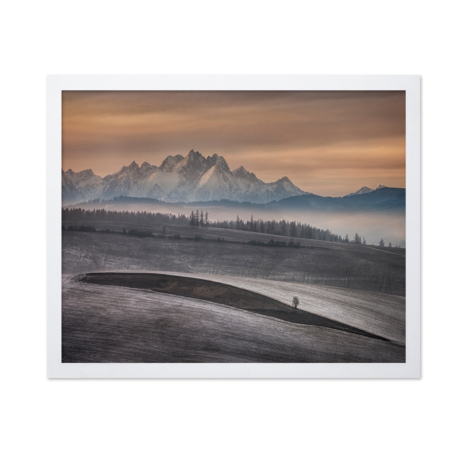 Frosted Fields Beneath Winter Peaks