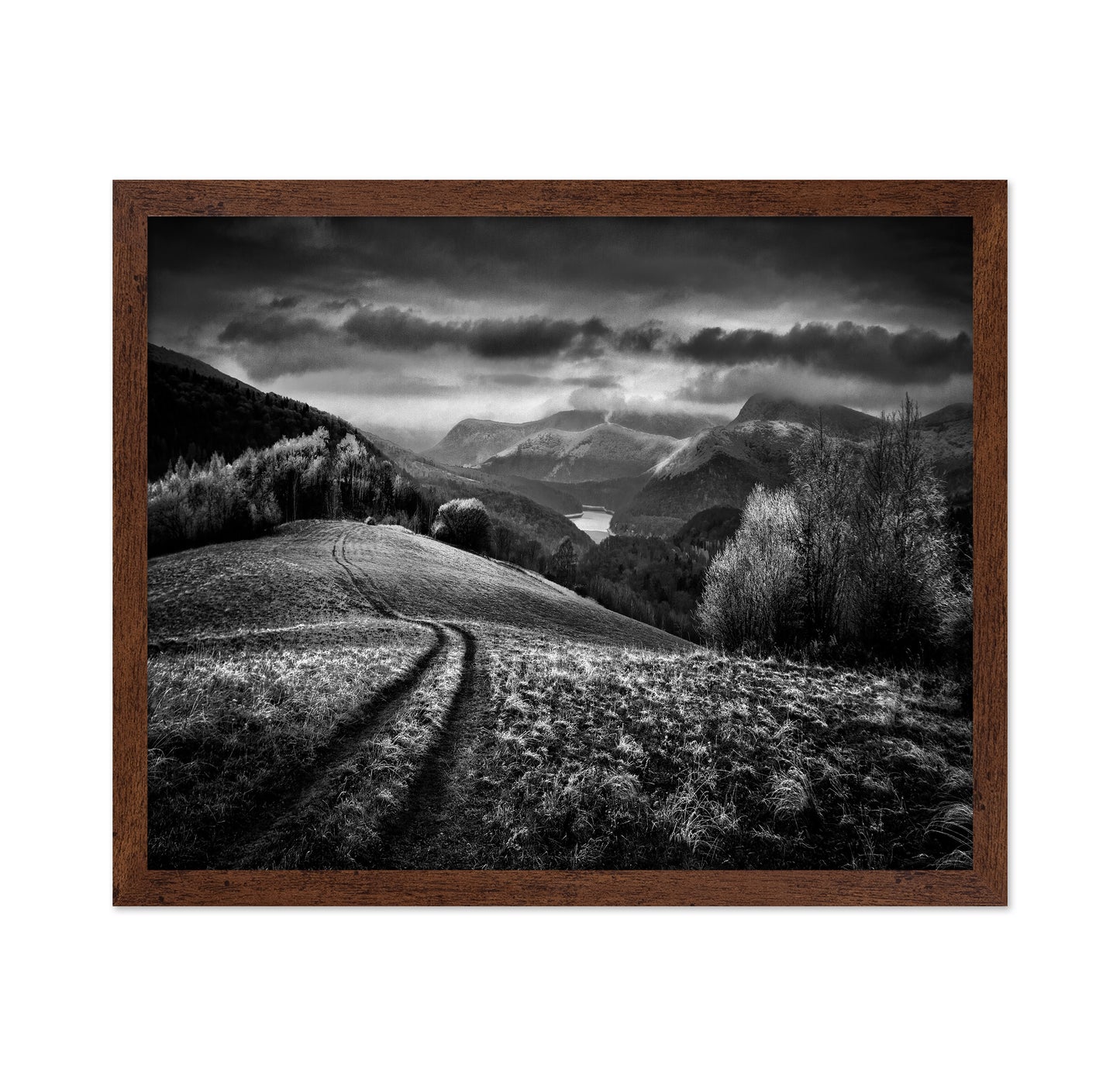 Path to the Frozen Valley