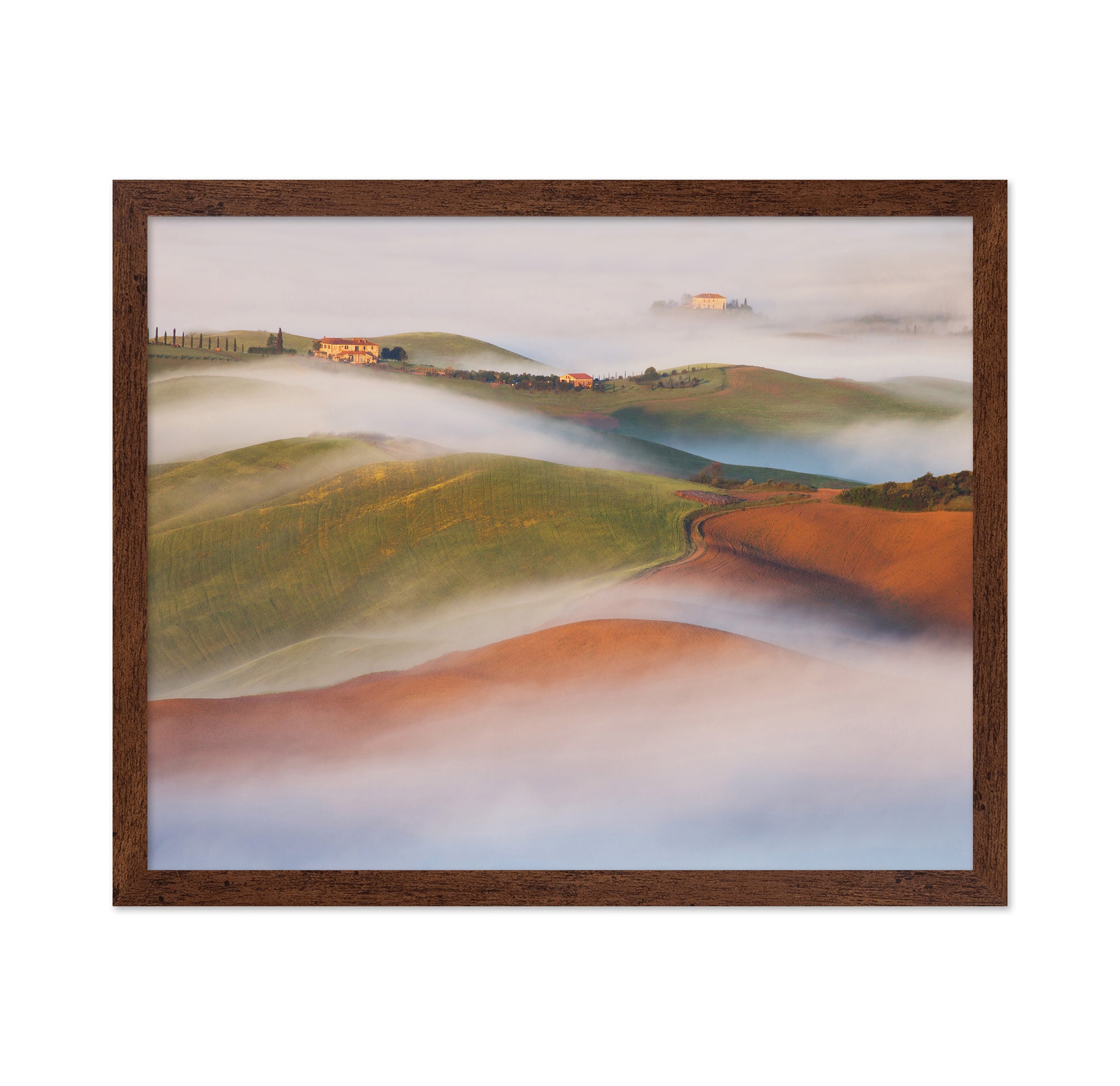 Rolling Hills Above the Mist