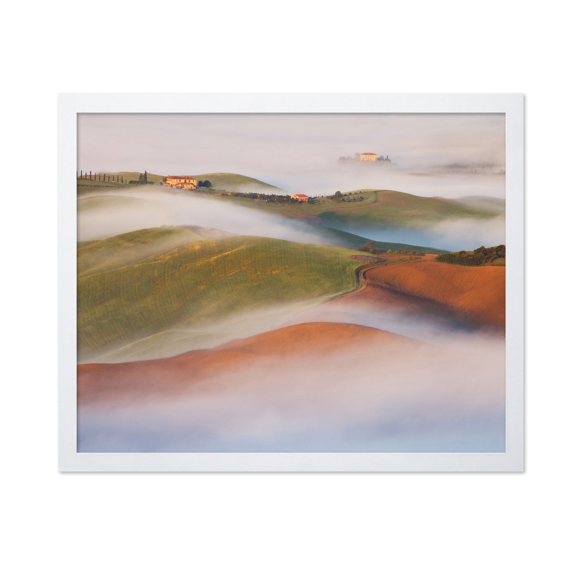 Rolling Hills Above the Mist