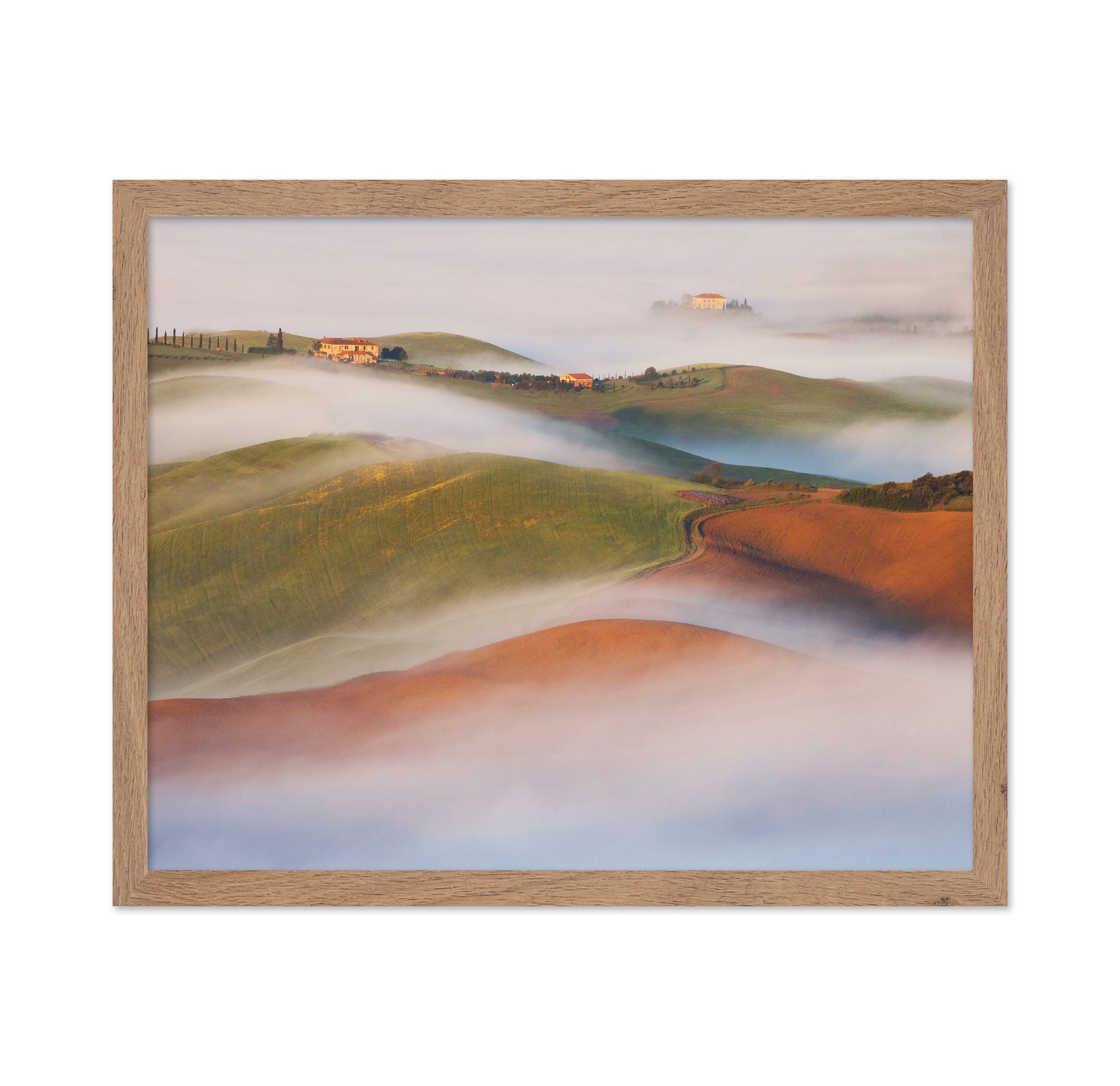 Rolling Hills Above the Mist
