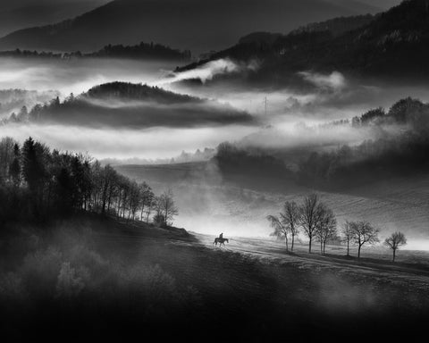 Rider Through the Morning Mist