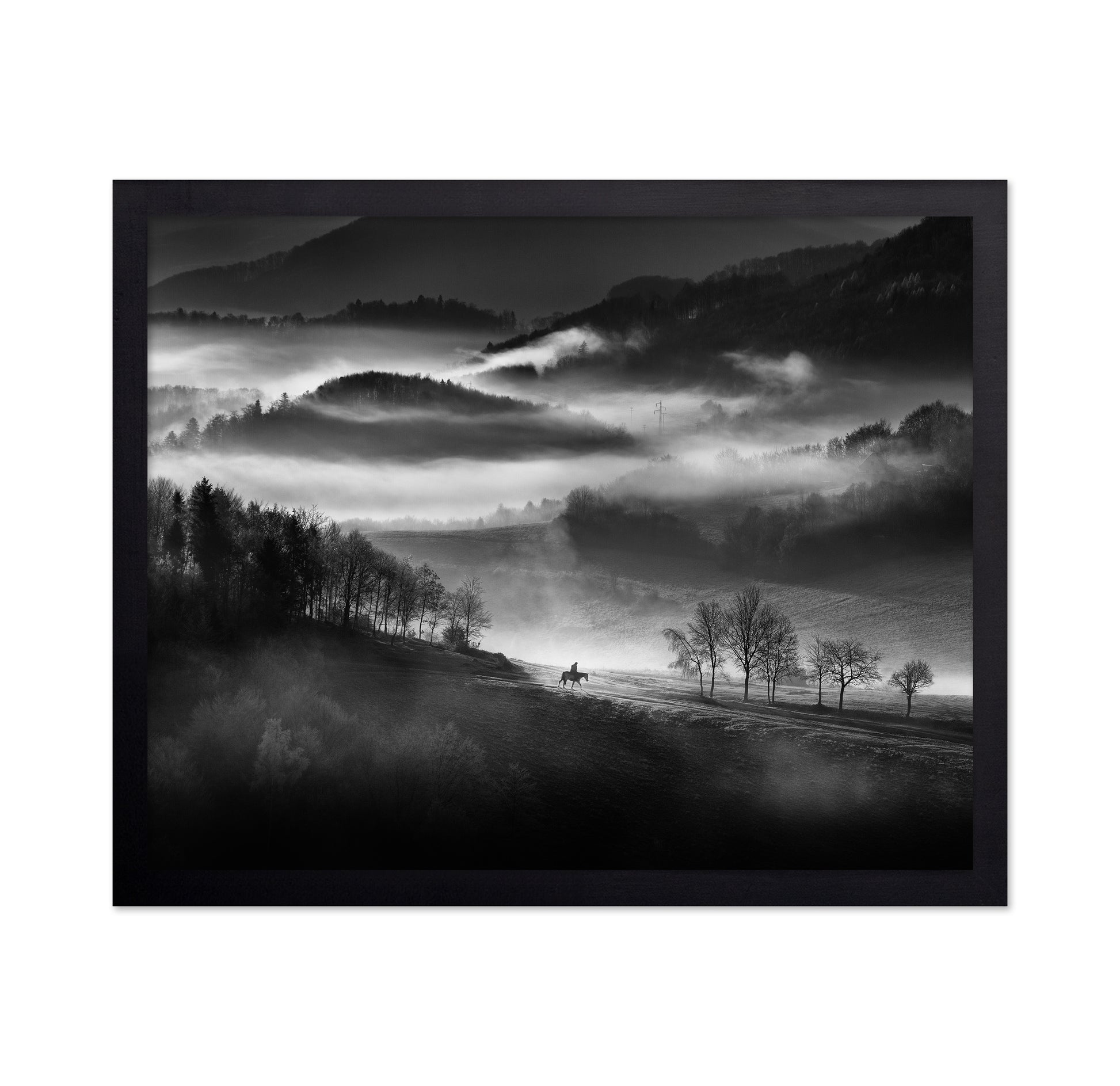 Rider Through the Morning Mist