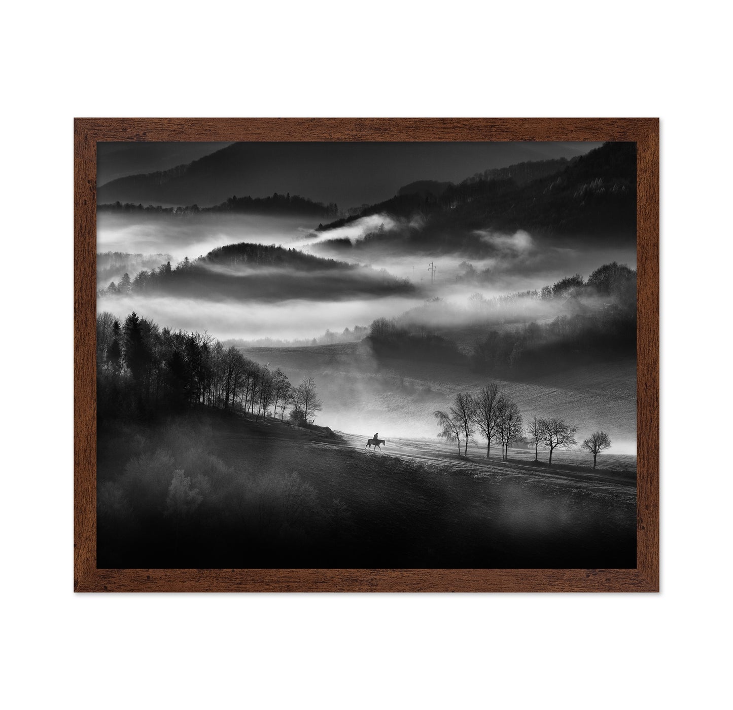 Rider Through the Morning Mist