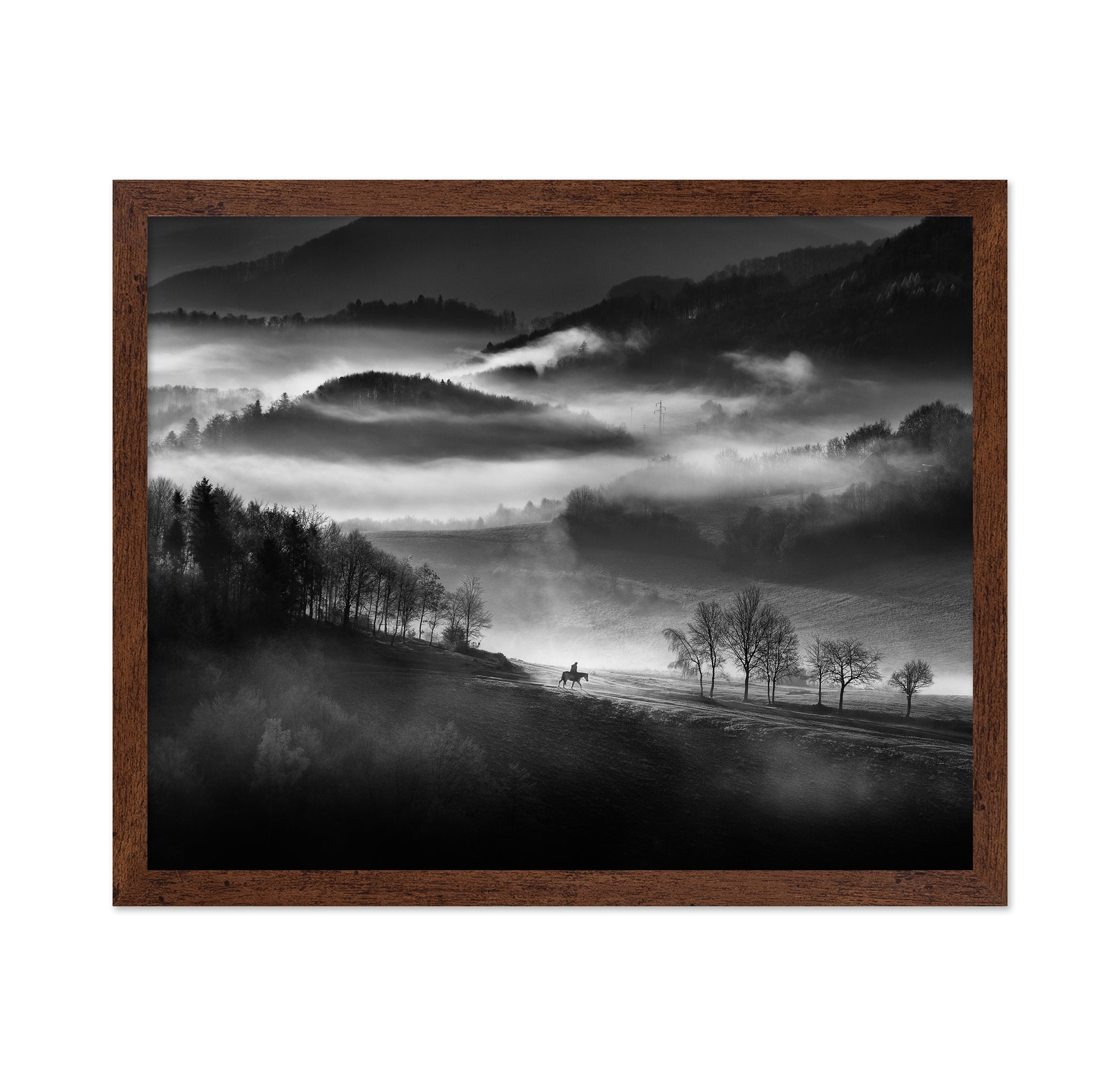 Rider Through the Morning Mist