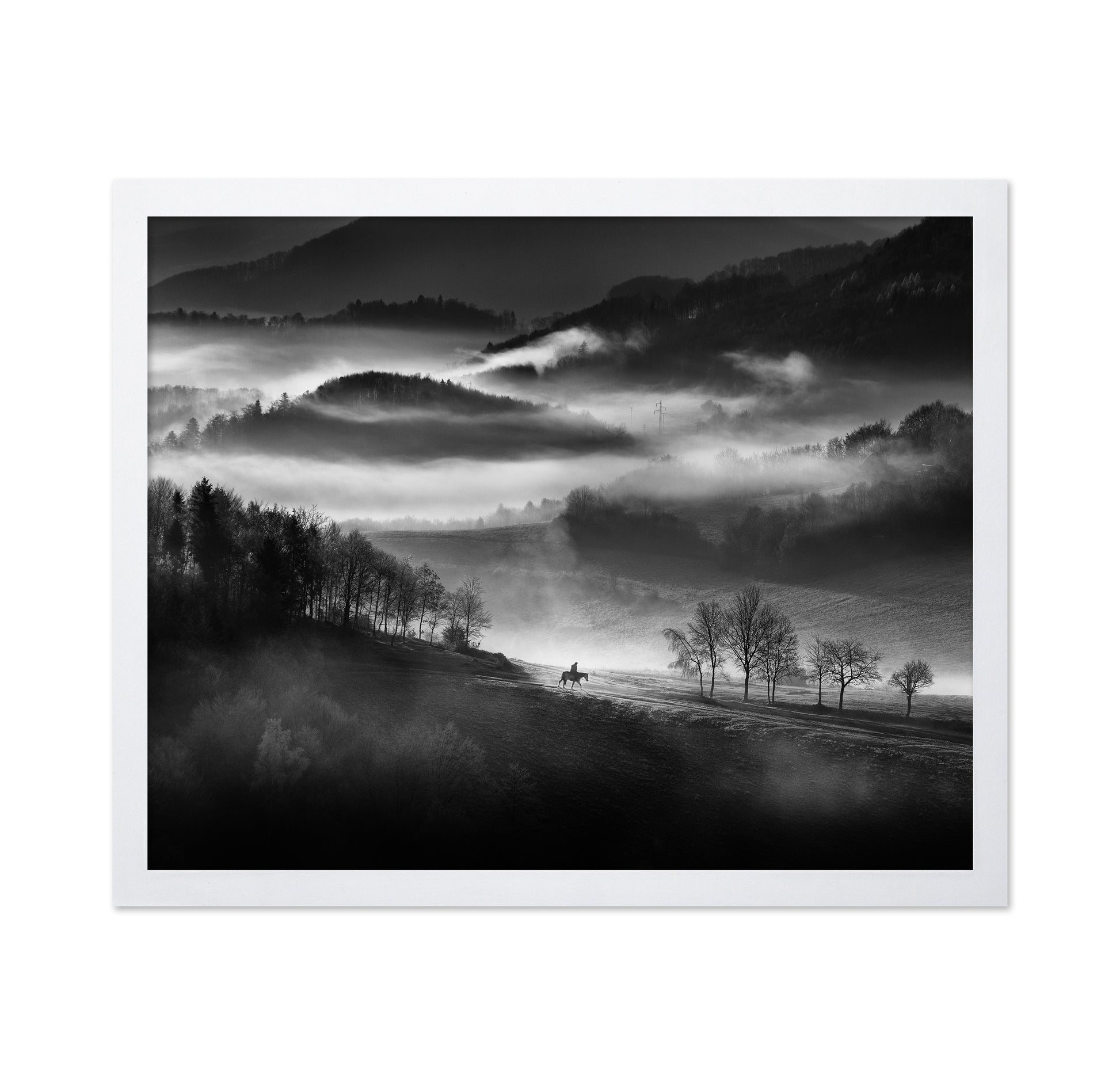Rider Through the Morning Mist