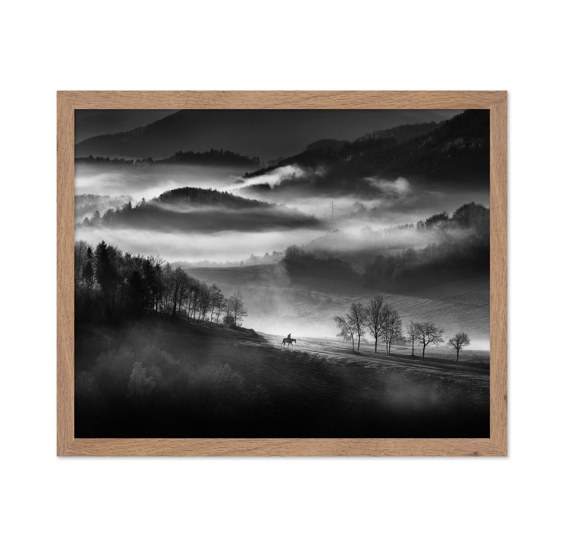 Rider Through the Morning Mist