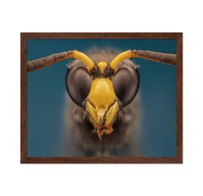 Macro Wasp Portrait